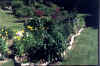 Have7.jpg (31425 byte)
