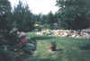 Have_21.jpg (41850 byte)