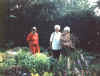 Have_33.jpg (44781 byte)